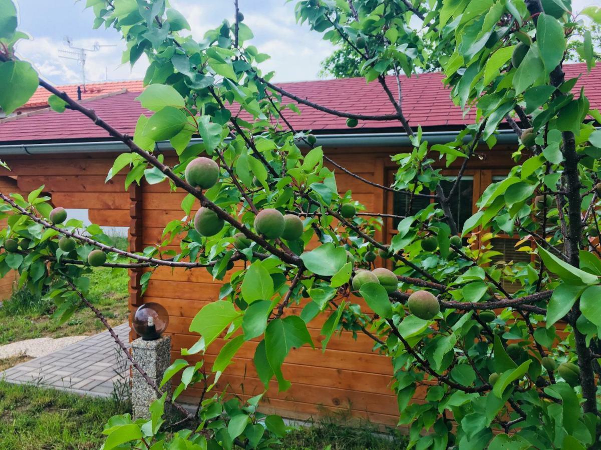 Villa Ubytovani U Lisaka Foxe Bulhary Exterior foto